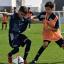 Building the foundations of collective defending